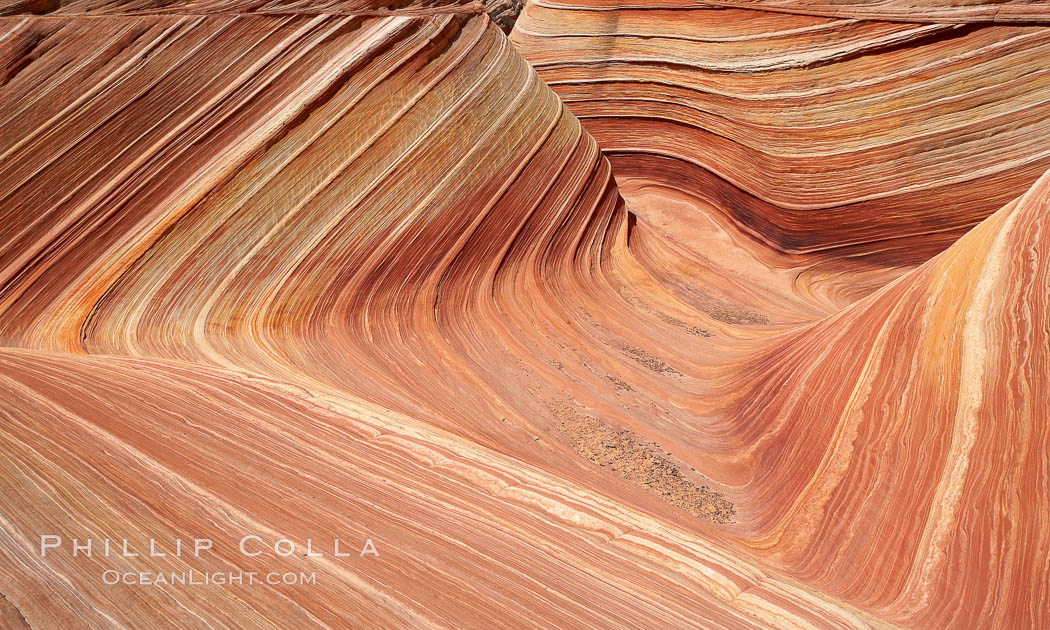 The Wave, an area of fantastic eroded sandstone featuring beautiful swirls, wild colors, countless striations, and bizarre shapes set amidst the dramatic surrounding North Coyote Buttes of Arizona and Utah.  The sandstone formations of the North Coyote Buttes, including the Wave, date from the Jurassic period. Managed by the Bureau of Land Management, the Wave is located in the Paria Canyon-Vermilion Cliffs Wilderness and is accessible on foot by permit only. USA, natural history stock photograph, photo id 20907