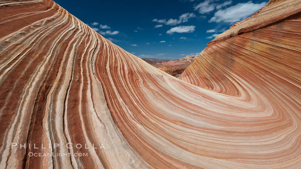 The Wave, an area of fantastic eroded sandstone featuring beautiful swirls, wild colors, countless striations, and bizarre shapes set amidst the dramatic surrounding North Coyote Buttes of Arizona and Utah.  The sandstone formations of the North Coyote Buttes, including the Wave, date from the Jurassic period. Managed by the Bureau of Land Management, the Wave is located in the Paria Canyon-Vermilion Cliffs Wilderness and is accessible on foot by permit only. USA, natural history stock photograph, photo id 20909