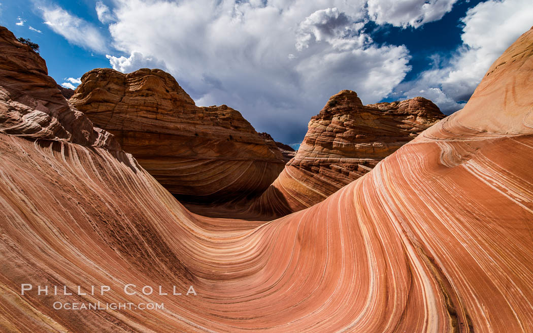 The Wave in the North Coyote Buttes, an area of fantastic eroded sandstone featuring beautiful swirls, wild colors, countless striations, and bizarre shapes set amidst the dramatic surrounding North Coyote Buttes of Arizona and Utah. The sandstone formations of the North Coyote Buttes, including the Wave, date from the Jurassic period. Managed by the Bureau of Land Management, the Wave is located in the Paria Canyon-Vermilion Cliffs Wilderness and is accessible on foot by permit only. USA, natural history stock photograph, photo id 28601