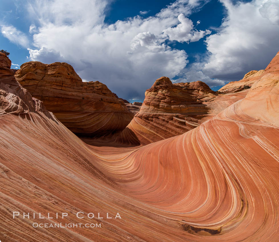 The Wave in the North Coyote Buttes, an area of fantastic eroded sandstone featuring beautiful swirls, wild colors, countless striations, and bizarre shapes set amidst the dramatic surrounding North Coyote Buttes of Arizona and Utah. The sandstone formations of the North Coyote Buttes, including the Wave, date from the Jurassic period. Managed by the Bureau of Land Management, the Wave is located in the Paria Canyon-Vermilion Cliffs Wilderness and is accessible on foot by permit only. USA, natural history stock photograph, photo id 28605