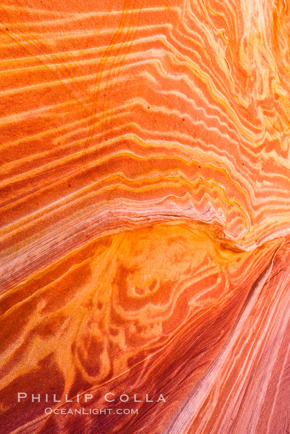 The Wave, an area of fantastic eroded sandstone featuring beautiful swirls, wild colors, countless striations, and bizarre shapes set amidst the dramatic surrounding North Coyote Buttes of Arizona and Utah.  The sandstone formations of the North Coyote Buttes, including the Wave, date from the Jurassic period. Managed by the Bureau of Land Management, the Wave is located in the Paria Canyon-Vermilion Cliffs Wilderness and is accessible on foot by permit only. USA, natural history stock photograph, photo id 20650