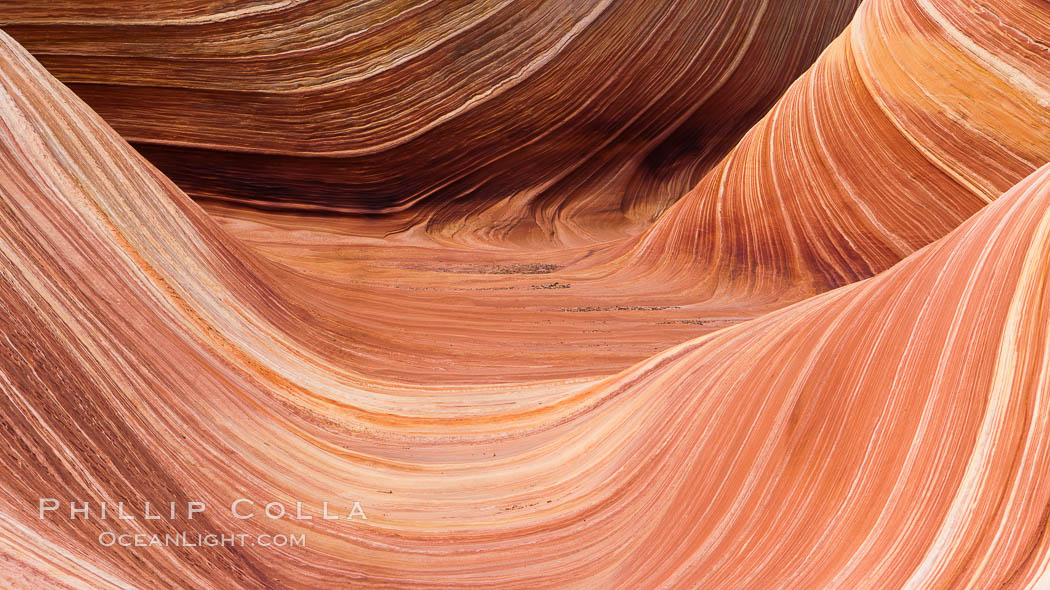 The Wave, an area of fantastic eroded sandstone featuring beautiful swirls, wild colors, countless striations, and bizarre shapes set amidst the dramatic surrounding North Coyote Buttes of Arizona and Utah.  The sandstone formations of the North Coyote Buttes, including the Wave, date from the Jurassic period. Managed by the Bureau of Land Management, the Wave is located in the Paria Canyon-Vermilion Cliffs Wilderness and is accessible on foot by permit only. USA, natural history stock photograph, photo id 20670