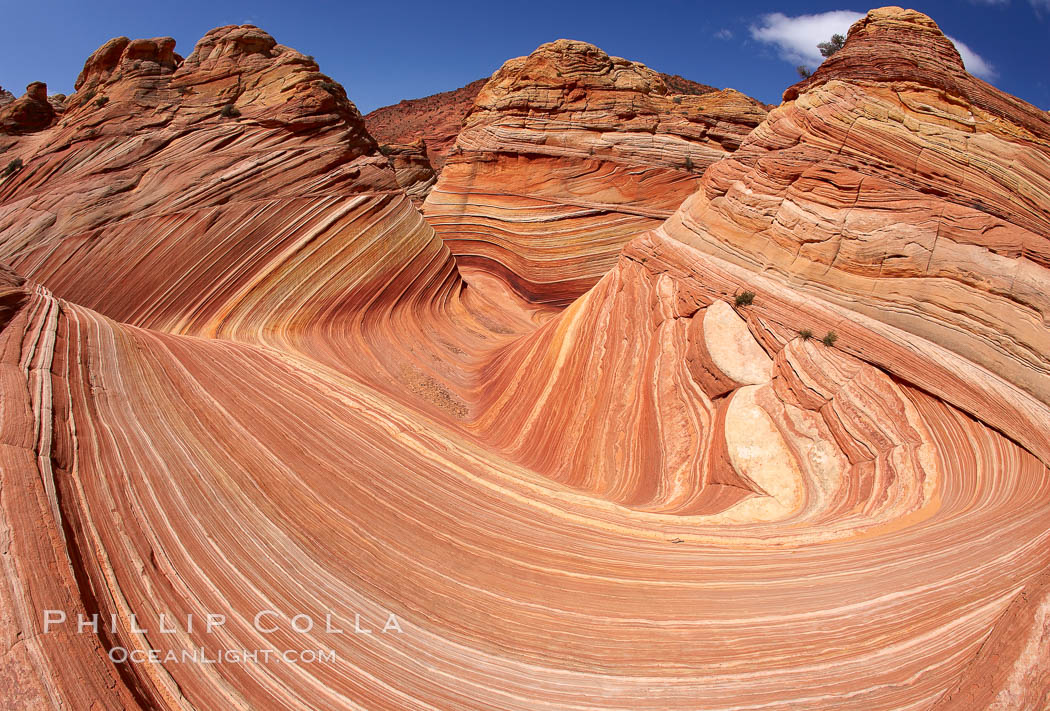 The Wave, an area of fantastic eroded sandstone featuring beautiful swirls, wild colors, countless striations, and bizarre shapes set amidst the dramatic surrounding North Coyote Buttes of Arizona and Utah.  The sandstone formations of the North Coyote Buttes, including the Wave, date from the Jurassic period. Managed by the Bureau of Land Management, the Wave is located in the Paria Canyon-Vermilion Cliffs Wilderness and is accessible on foot by permit only. USA, natural history stock photograph, photo id 20674