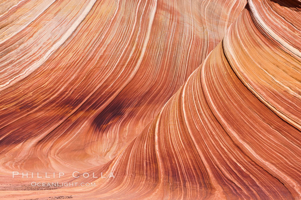 The Wave, an area of fantastic eroded sandstone featuring beautiful swirls, wild colors, countless striations, and bizarre shapes set amidst the dramatic surrounding North Coyote Buttes of Arizona and Utah.  The sandstone formations of the North Coyote Buttes, including the Wave, date from the Jurassic period. Managed by the Bureau of Land Management, the Wave is located in the Paria Canyon-Vermilion Cliffs Wilderness and is accessible on foot by permit only. USA, natural history stock photograph, photo id 20678