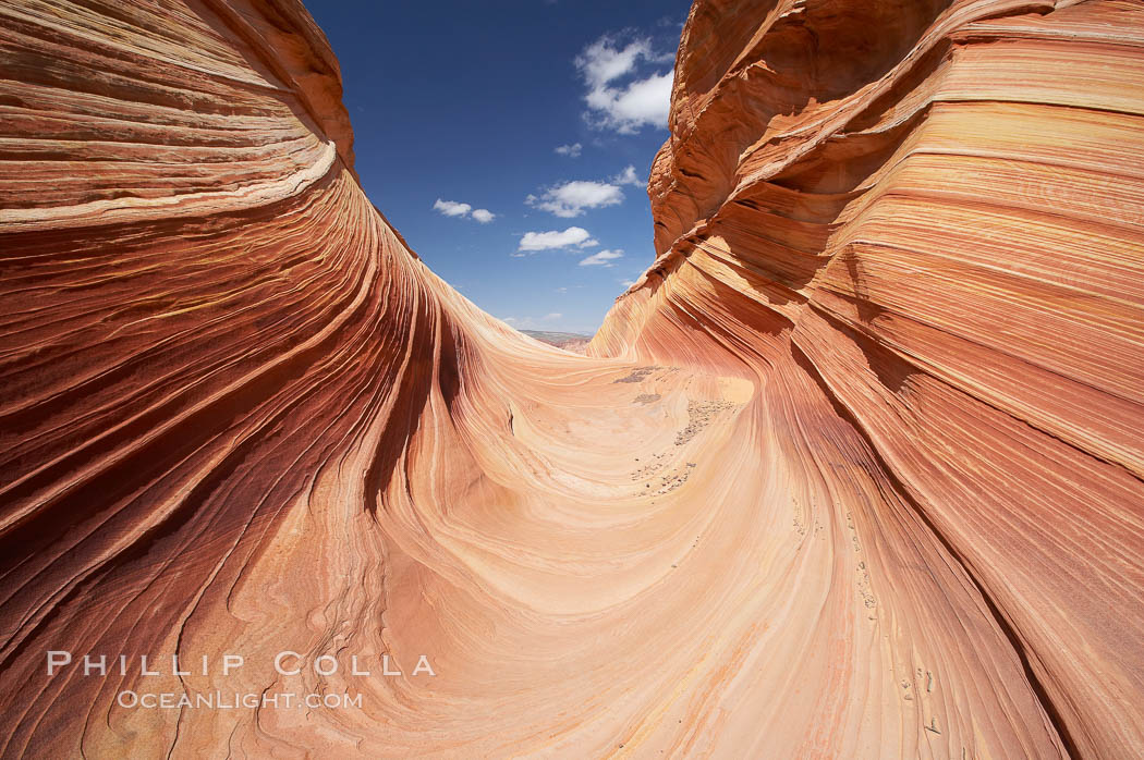 The Wave, an area of fantastic eroded sandstone featuring beautiful swirls, wild colors, countless striations, and bizarre shapes set amidst the dramatic surrounding North Coyote Buttes of Arizona and Utah.  The sandstone formations of the North Coyote Buttes, including the Wave, date from the Jurassic period. Managed by the Bureau of Land Management, the Wave is located in the Paria Canyon-Vermilion Cliffs Wilderness and is accessible on foot by permit only. USA, natural history stock photograph, photo id 20652