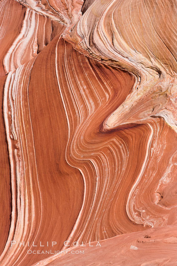 The Wave, an area of fantastic eroded sandstone featuring beautiful swirls, wild colors, countless striations, and bizarre shapes set amidst the dramatic surrounding North Coyote Buttes of Arizona and Utah.  The sandstone formations of the North Coyote Buttes, including the Wave, date from the Jurassic period. Managed by the Bureau of Land Management, the Wave is located in the Paria Canyon-Vermilion Cliffs Wilderness and is accessible on foot by permit only. USA, natural history stock photograph, photo id 20656