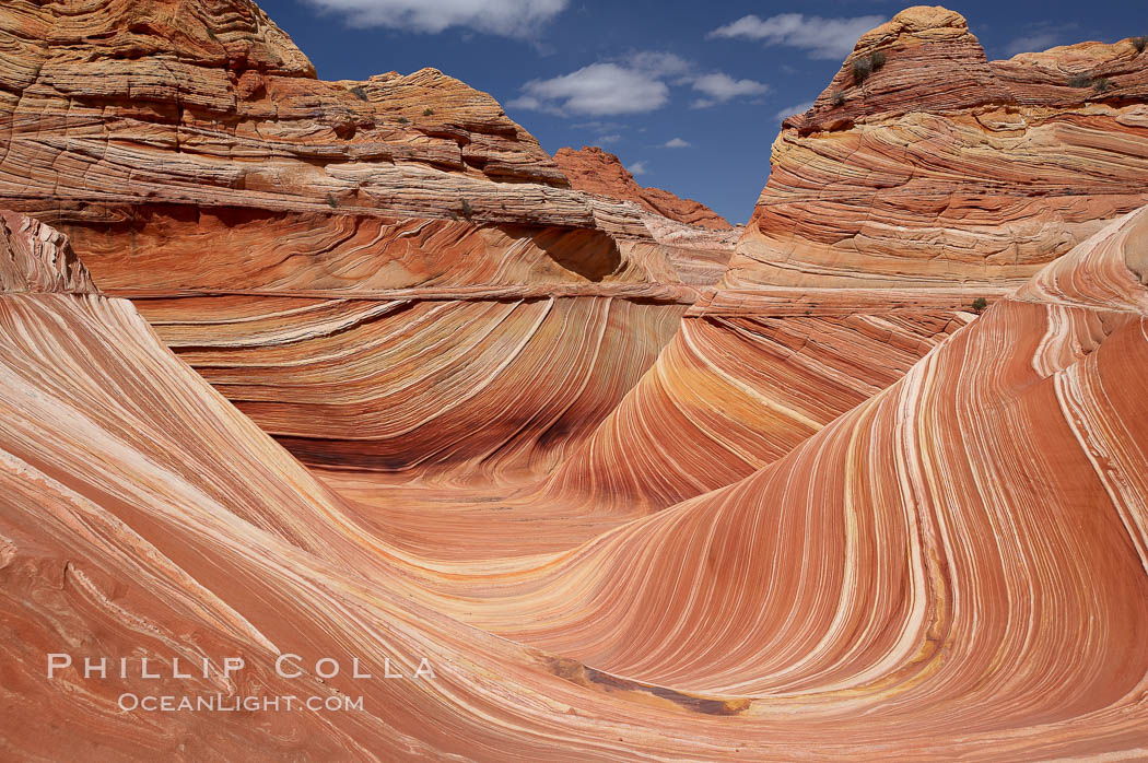 The Wave, an area of fantastic eroded sandstone featuring beautiful swirls, wild colors, countless striations, and bizarre shapes set amidst the dramatic surrounding North Coyote Buttes of Arizona and Utah.  The sandstone formations of the North Coyote Buttes, including the Wave, date from the Jurassic period. Managed by the Bureau of Land Management, the Wave is located in the Paria Canyon-Vermilion Cliffs Wilderness and is accessible on foot by permit only. USA, natural history stock photograph, photo id 20660