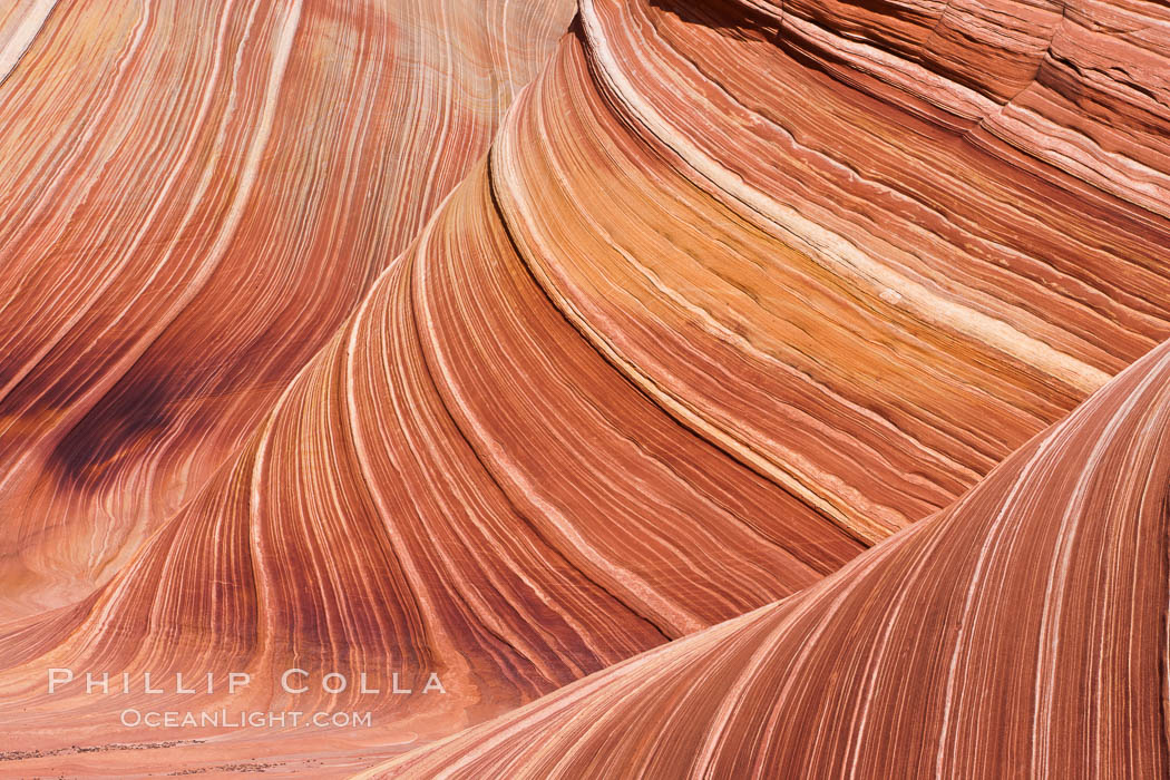 The Wave, an area of fantastic eroded sandstone featuring beautiful swirls, wild colors, countless striations, and bizarre shapes set amidst the dramatic surrounding North Coyote Buttes of Arizona and Utah.  The sandstone formations of the North Coyote Buttes, including the Wave, date from the Jurassic period. Managed by the Bureau of Land Management, the Wave is located in the Paria Canyon-Vermilion Cliffs Wilderness and is accessible on foot by permit only. USA, natural history stock photograph, photo id 20664