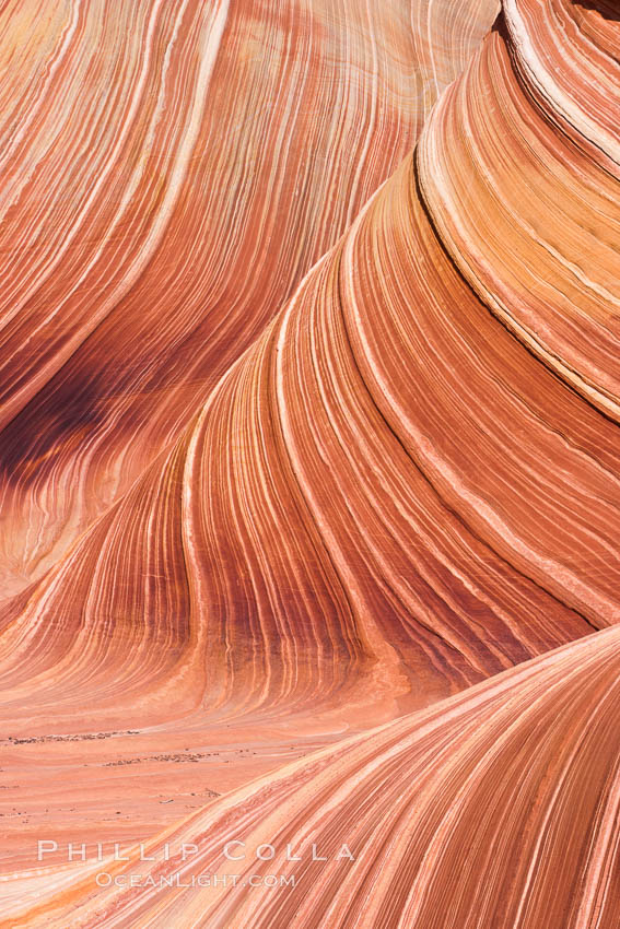 The Wave, an area of fantastic eroded sandstone featuring beautiful swirls, wild colors, countless striations, and bizarre shapes set amidst the dramatic surrounding North Coyote Buttes of Arizona and Utah.  The sandstone formations of the North Coyote Buttes, including the Wave, date from the Jurassic period. Managed by the Bureau of Land Management, the Wave is located in the Paria Canyon-Vermilion Cliffs Wilderness and is accessible on foot by permit only. USA, natural history stock photograph, photo id 20672