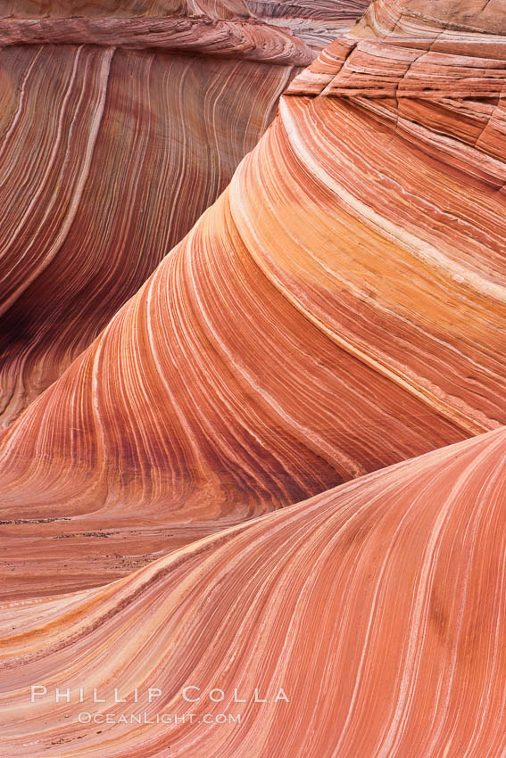 The Wave, an area of fantastic eroded sandstone featuring beautiful swirls, wild colors, countless striations, and bizarre shapes set amidst the dramatic surrounding North Coyote Buttes of Arizona and Utah.  The sandstone formations of the North Coyote Buttes, including the Wave, date from the Jurassic period. Managed by the Bureau of Land Management, the Wave is located in the Paria Canyon-Vermilion Cliffs Wilderness and is accessible on foot by permit only. USA, natural history stock photograph, photo id 20676