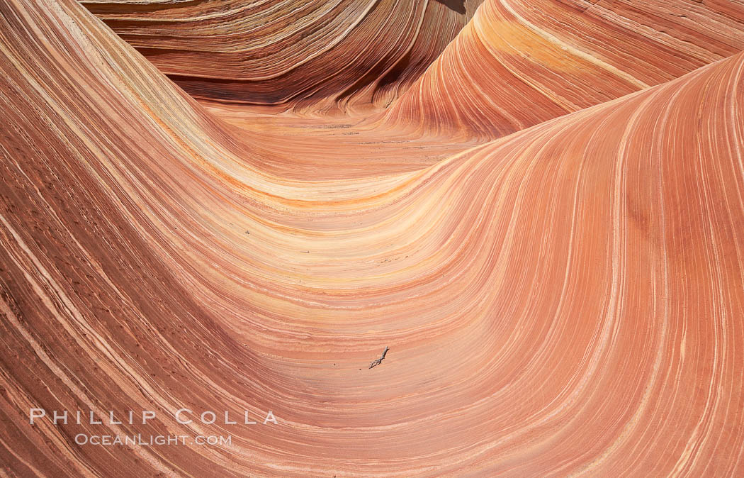 The Wave, an area of fantastic eroded sandstone featuring beautiful swirls, wild colors, countless striations, and bizarre shapes set amidst the dramatic surrounding North Coyote Buttes of Arizona and Utah.  The sandstone formations of the North Coyote Buttes, including the Wave, date from the Jurassic period. Managed by the Bureau of Land Management, the Wave is located in the Paria Canyon-Vermilion Cliffs Wilderness and is accessible on foot by permit only. USA, natural history stock photograph, photo id 20680