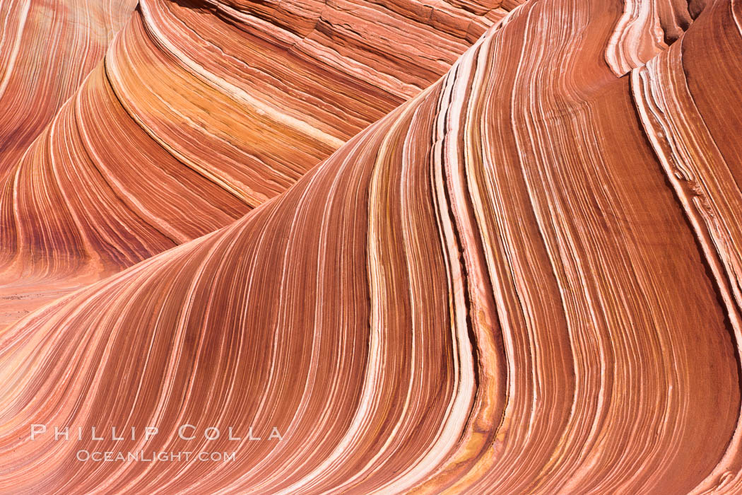 The Wave, an area of fantastic eroded sandstone featuring beautiful swirls, wild colors, countless striations, and bizarre shapes set amidst the dramatic surrounding North Coyote Buttes of Arizona and Utah.  The sandstone formations of the North Coyote Buttes, including the Wave, date from the Jurassic period. Managed by the Bureau of Land Management, the Wave is located in the Paria Canyon-Vermilion Cliffs Wilderness and is accessible on foot by permit only. USA, natural history stock photograph, photo id 20667