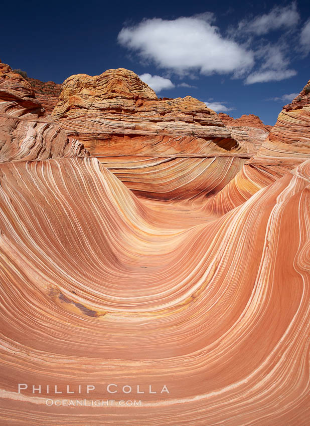 The Wave, an area of fantastic eroded sandstone featuring beautiful swirls, wild colors, countless striations, and bizarre shapes set amidst the dramatic surrounding North Coyote Buttes of Arizona and Utah.  The sandstone formations of the North Coyote Buttes, including the Wave, date from the Jurassic period. Managed by the Bureau of Land Management, the Wave is located in the Paria Canyon-Vermilion Cliffs Wilderness and is accessible on foot by permit only. USA, natural history stock photograph, photo id 20675