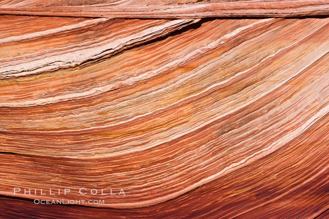 The Wave, an area of fantastic eroded sandstone featuring beautiful swirls, wild colors, countless striations, and bizarre shapes set amidst the dramatic surrounding North Coyote Buttes of Arizona and Utah.  The sandstone formations of the North Coyote Buttes, including the Wave, date from the Jurassic period. Managed by the Bureau of Land Management, the Wave is located in the Paria Canyon-Vermilion Cliffs Wilderness and is accessible on foot by permit only. USA, natural history stock photograph, photo id 20657