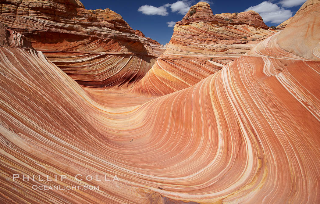 The Wave, an area of fantastic eroded sandstone featuring beautiful swirls, wild colors, countless striations, and bizarre shapes set amidst the dramatic surrounding North Coyote Buttes of Arizona and Utah.  The sandstone formations of the North Coyote Buttes, including the Wave, date from the Jurassic period. Managed by the Bureau of Land Management, the Wave is located in the Paria Canyon-Vermilion Cliffs Wilderness and is accessible on foot by permit only. USA, natural history stock photograph, photo id 20669