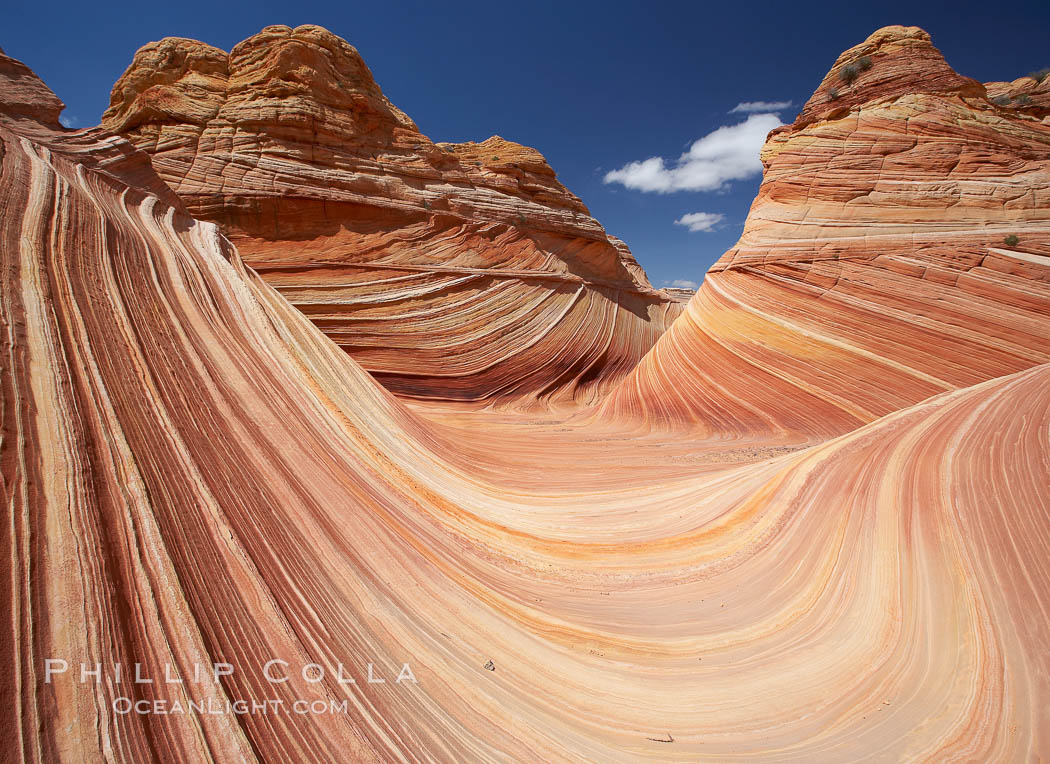 The Wave, an area of fantastic eroded sandstone featuring beautiful swirls, wild colors, countless striations, and bizarre shapes set amidst the dramatic surrounding North Coyote Buttes of Arizona and Utah.  The sandstone formations of the North Coyote Buttes, including the Wave, date from the Jurassic period. Managed by the Bureau of Land Management, the Wave is located in the Paria Canyon-Vermilion Cliffs Wilderness and is accessible on foot by permit only. USA, natural history stock photograph, photo id 20681