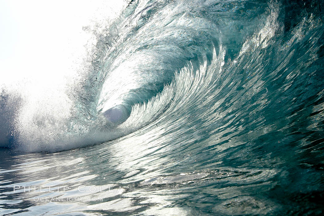 Backlit wave, the Wedge. The Wedge, Newport Beach, California, USA, natural history stock photograph, photo id 17006