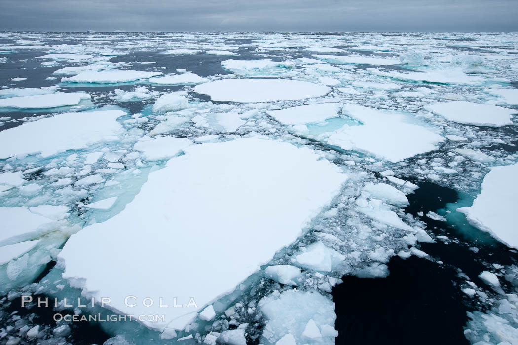 Pack ice and brash ice fills the Weddell Sea, near the Antarctic Peninsula.  This pack ice is a combination of broken pieces of icebergs, sea ice that has formed on the ocean. Southern Ocean, natural history stock photograph, photo id 24922
