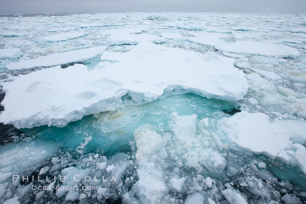 Pack ice and brash ice fills the Weddell Sea, near the Antarctic Peninsula.  This pack ice is a combination of broken pieces of icebergs, sea ice that has formed on the ocean. Southern Ocean, natural history stock photograph, photo id 24916