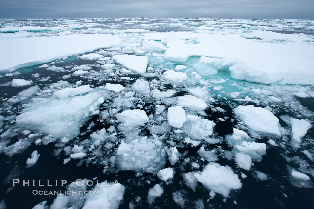 Pack ice and brash ice fills the Weddell Sea, near the Antarctic Peninsula.  This pack ice is a combination of broken pieces of icebergs, sea ice that has formed on the ocean. Southern Ocean, natural history stock photograph, photo id 24920