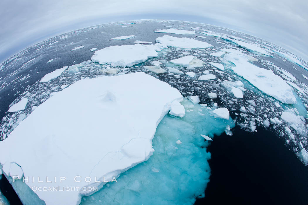 Pack ice and brash ice fills the Weddell Sea, near the Antarctic Peninsula.  This pack ice is a combination of broken pieces of icebergs, sea ice that has formed on the ocean. Southern Ocean, natural history stock photograph, photo id 24924