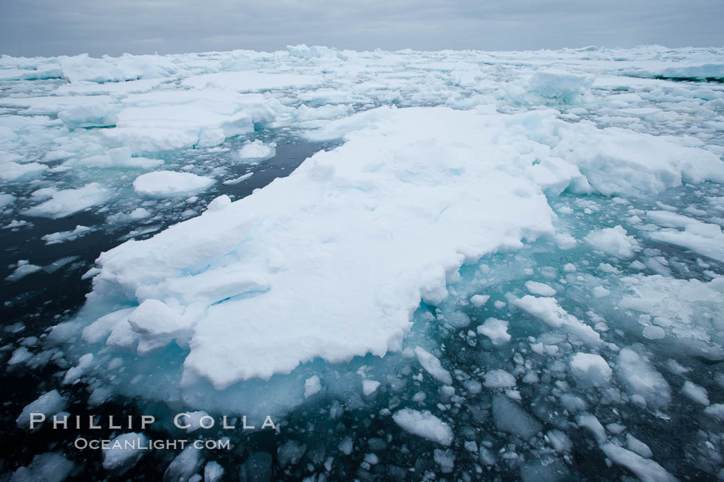 Pack ice and brash ice fills the Weddell Sea, near the Antarctic Peninsula.  This pack ice is a combination of broken pieces of icebergs, sea ice that has formed on the ocean. Southern Ocean, natural history stock photograph, photo id 24915