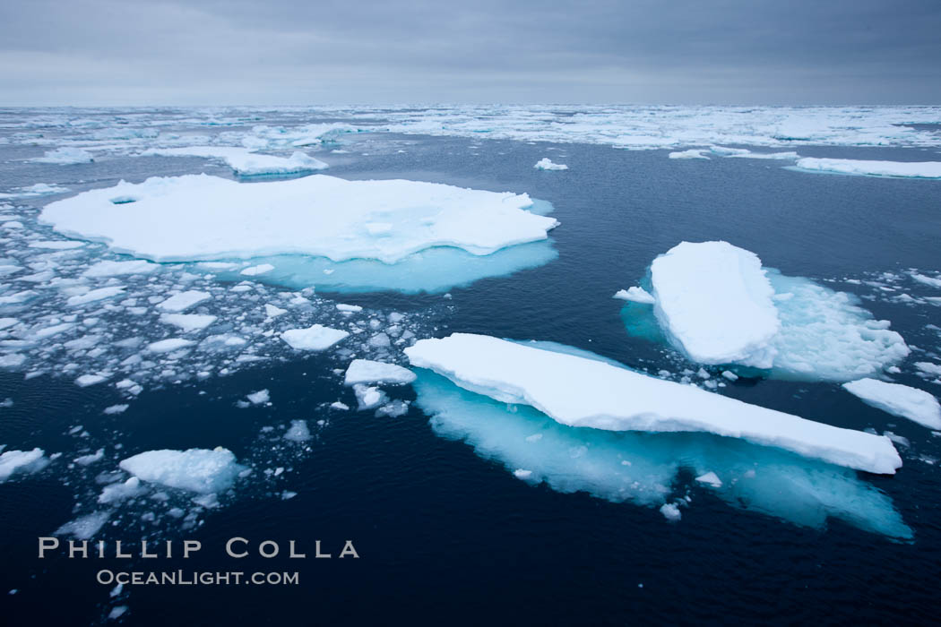 Pack ice and brash ice fills the Weddell Sea, near the Antarctic Peninsula.  This pack ice is a combination of broken pieces of icebergs, sea ice that has formed on the ocean. Southern Ocean, natural history stock photograph, photo id 24927