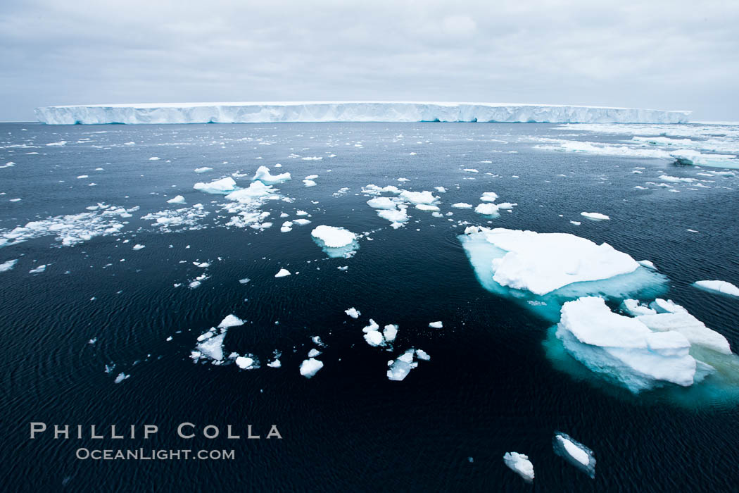 Pack ice and brash ice fills the Weddell Sea, near the Antarctic Peninsula.  This pack ice is a combination of broken pieces of icebergs, sea ice that has formed on the ocean. Southern Ocean, natural history stock photograph, photo id 24917