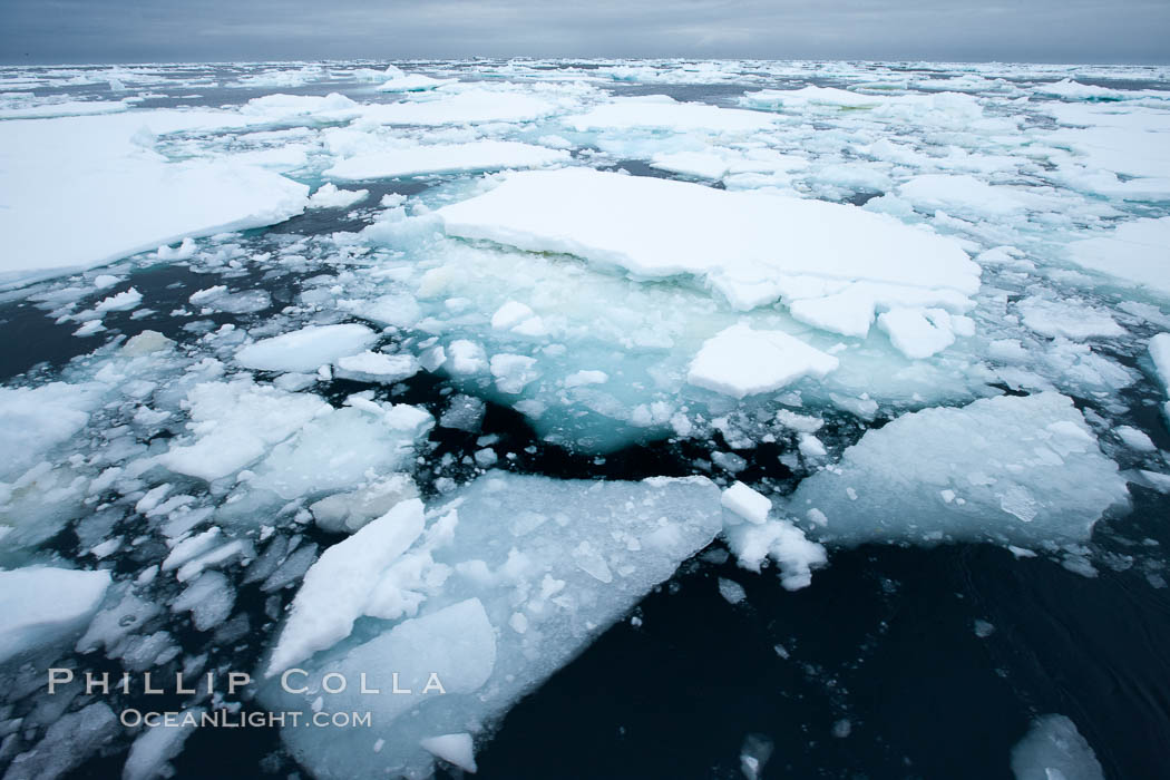 Pack ice and brash ice fills the Weddell Sea, near the Antarctic Peninsula.  This pack ice is a combination of broken pieces of icebergs, sea ice that has formed on the ocean. Southern Ocean, natural history stock photograph, photo id 24921