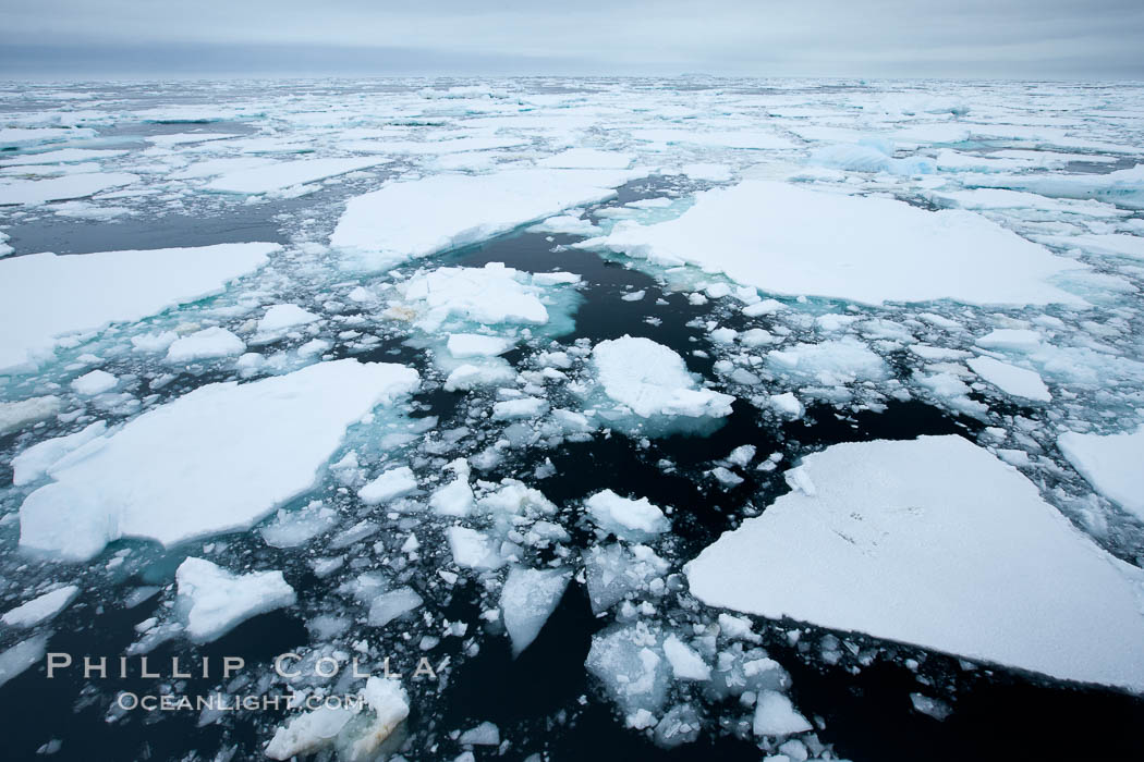 Pack ice and brash ice fills the Weddell Sea, near the Antarctic Peninsula.  This pack ice is a combination of broken pieces of icebergs, sea ice that has formed on the ocean. Southern Ocean, natural history stock photograph, photo id 24840