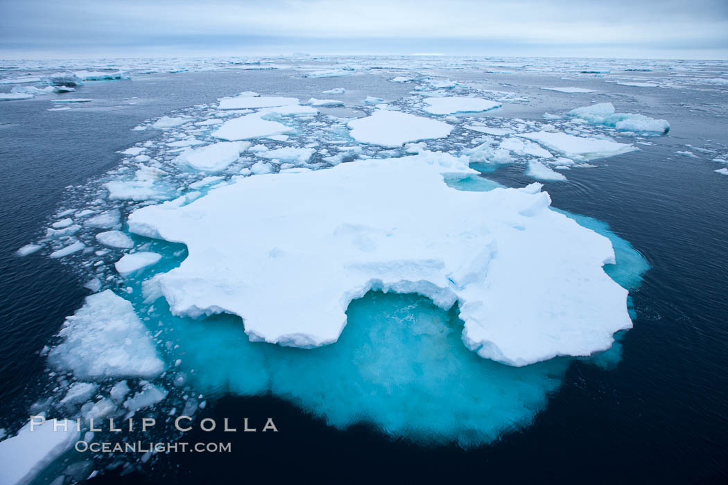 Pack ice and brash ice fills the Weddell Sea, near the Antarctic Peninsula.  This pack ice is a combination of broken pieces of icebergs, sea ice that has formed on the ocean. Southern Ocean, natural history stock photograph, photo id 24844