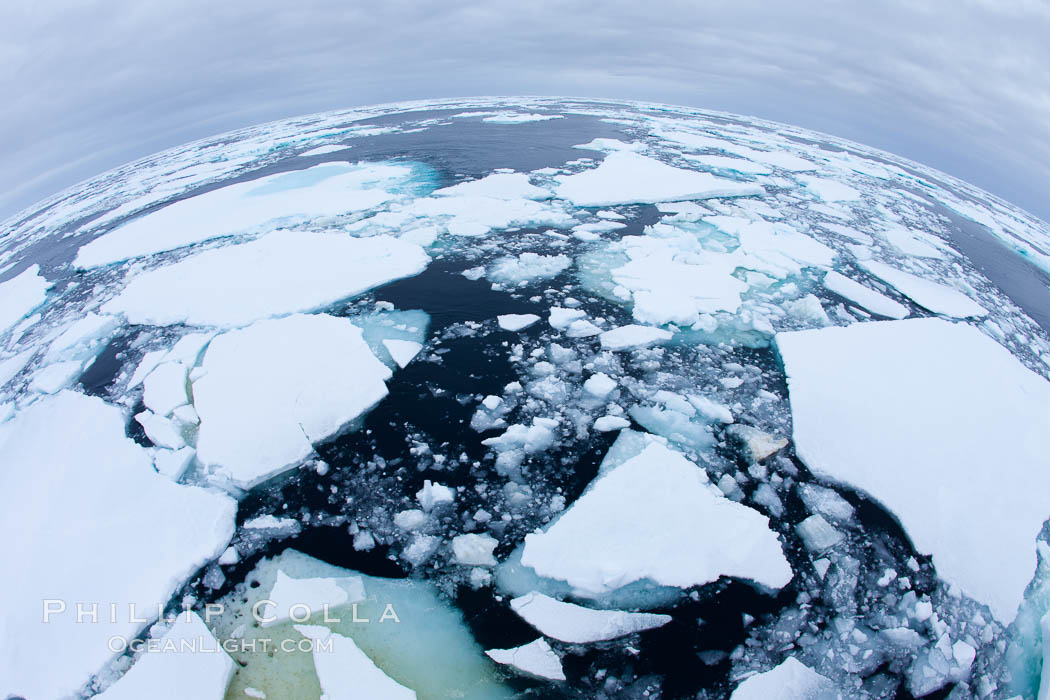 Pack ice and brash ice fills the Weddell Sea, near the Antarctic Peninsula.  This pack ice is a combination of broken pieces of icebergs, sea ice that has formed on the ocean. Southern Ocean, natural history stock photograph, photo id 24841