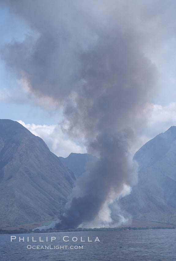 West Maui and smoke from burning cut sugar cane. Hawaii, USA, natural history stock photograph, photo id 04552