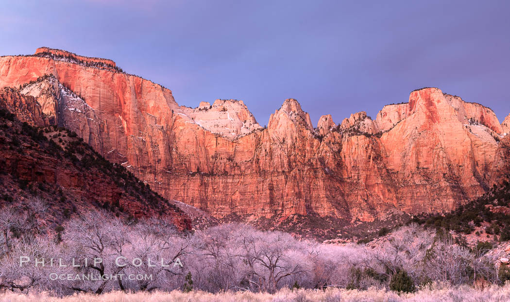 West Temple, The Sundial and the Altar of Sacrifice illuminated by soft alpenglow, about 20 minutes before sunrise. Zion National Park, Utah, USA, natural history stock photograph, photo id 37790
