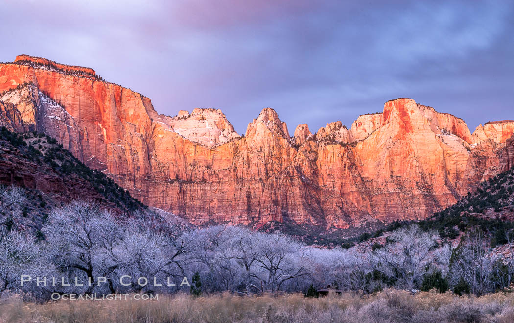 West Temple, The Sundial and the Altar of Sacrifice illuminated by soft alpenglow, about 20 minutes before sunrise. Zion National Park, Utah, USA, natural history stock photograph, photo id 37789