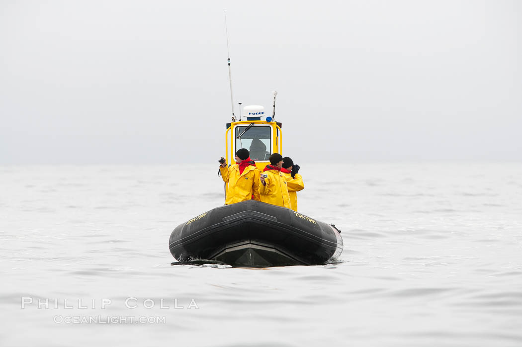 Whale watchers look in all directions searching for a whale, near Tofino, Clayoquot Sound, west coast of Vancouver Island. Cow Bay, Flores Island, British Columbia, Canada, natural history stock photograph, photo id 21179