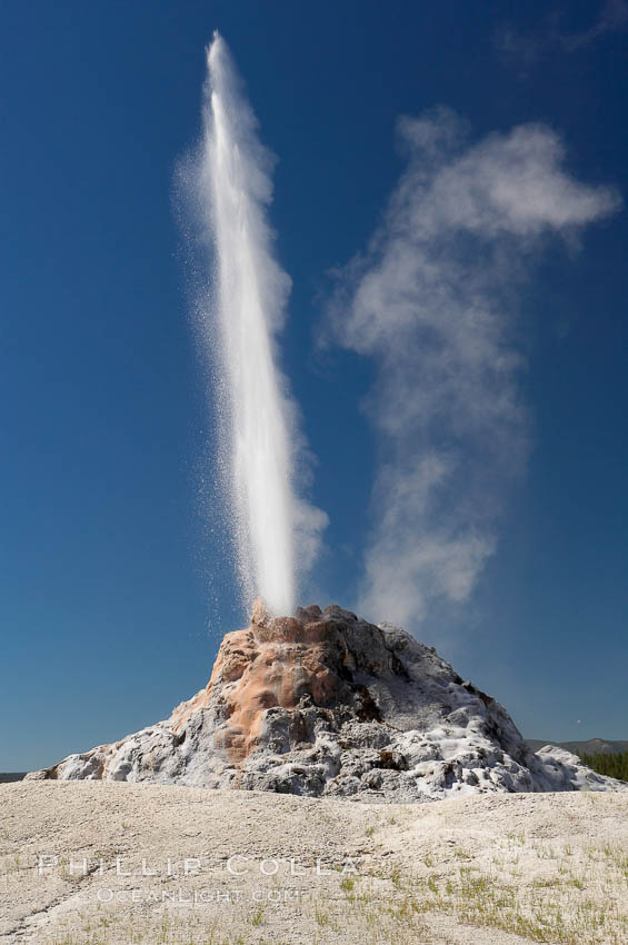 White Dome Geyser rises to a height of 30 feet or more, and typically erupts with an interval of 15 to 30 minutes.  It is located along Firehole Lake Drive. Lower Geyser Basin, Yellowstone National Park, Wyoming, USA, natural history stock photograph, photo id 13544