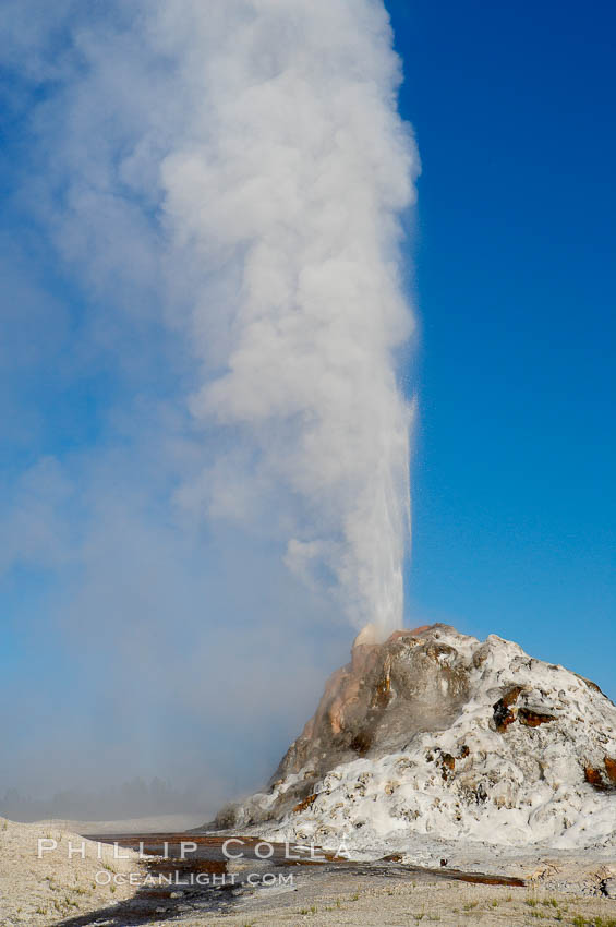 White Dome Geyser rises to a height of 30 feet or more, and typically erupts with an interval of 15 to 30 minutes.  It is located along Firehole Lake Drive. Lower Geyser Basin, Yellowstone National Park, Wyoming, USA, natural history stock photograph, photo id 13543