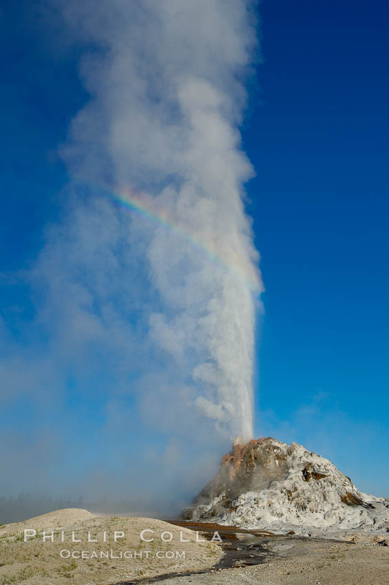 White Dome Geyser, with a faint rainbow visible in its mist, rises to a height of 30 feet or more, and typically erupts with an interval of 15 to 30 minutes.  It is located along Firehole Lake Drive. Lower Geyser Basin, Yellowstone National Park, Wyoming, USA, natural history stock photograph, photo id 13541