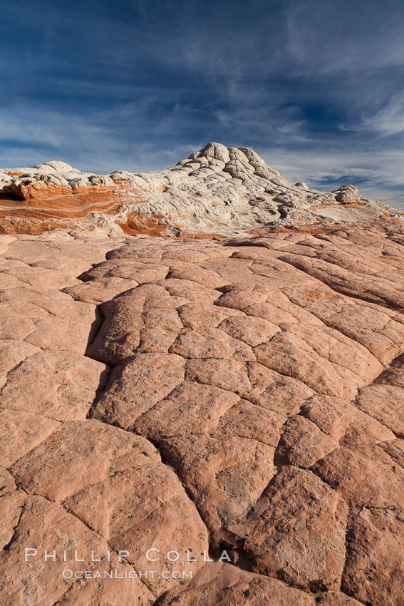 White Pocket, sandstone forms and colors are amazing. Vermillion Cliffs National Monument, Arizona, USA, natural history stock photograph, photo id 26639