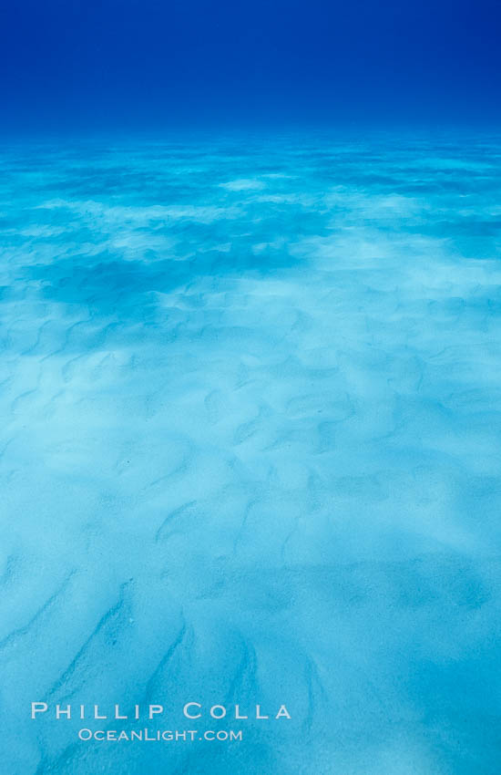 Sunlight spreads across broad sand plains, trochoidal patterns. Bahamas, natural history stock photograph, photo id 05658