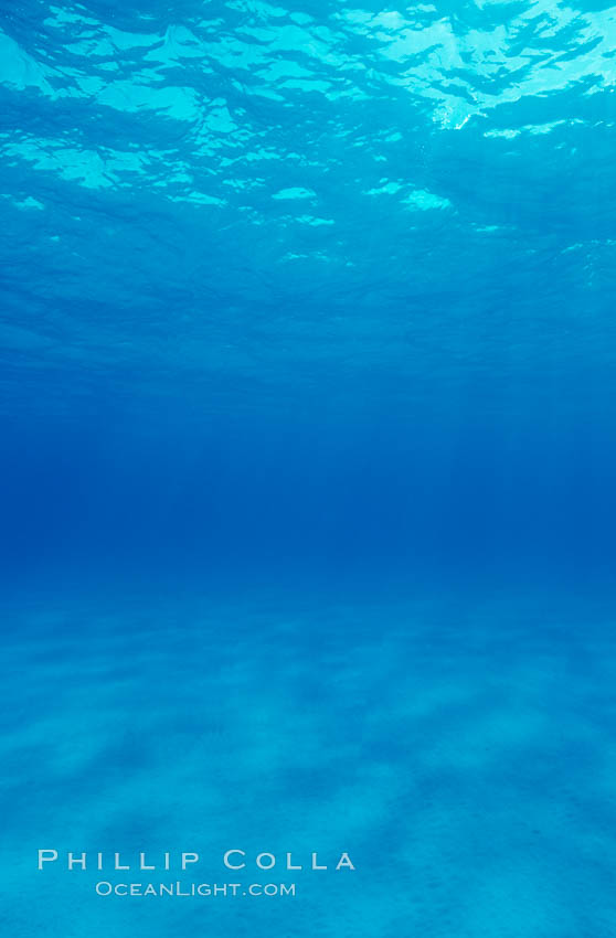 Sand, water and light. Bahamas, natural history stock photograph, photo id 05656