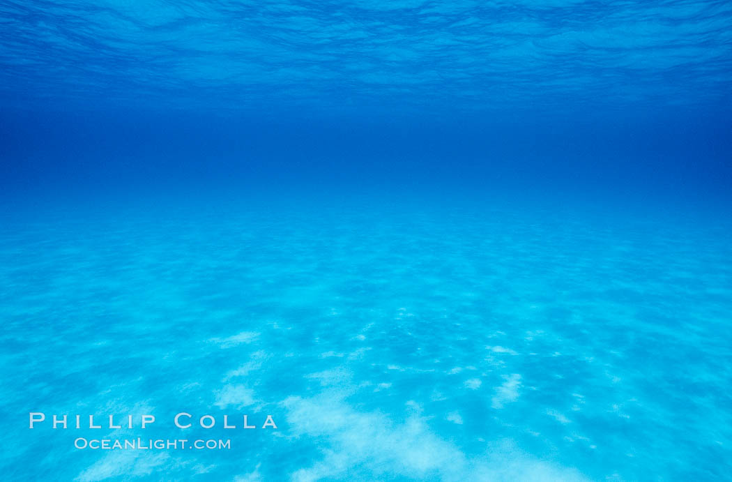 Sand, water and light. Bahamas, natural history stock photograph, photo id 05657