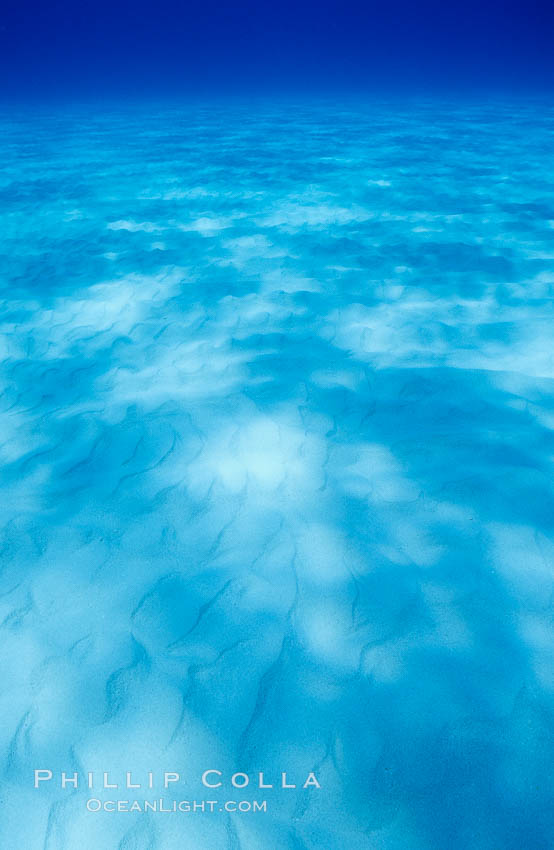 Sunlight spreads across broad sand plains, trochoidal patterns. Bahamas, natural history stock photograph, photo id 05665