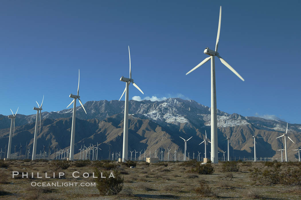 Wind turbines, rise above the flat floor of the San Gorgonio Pass near Palm Springs, with snow covered Mount San Jacinto in the background, provide electricity to Palm Springs and the Coachella Valley. California, USA, natural history stock photograph, photo id 22208