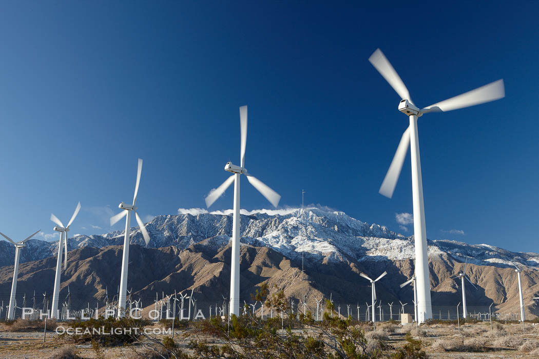 Wind turbines, rise above the flat floor of the San Gorgonio Pass near Palm Springs, with snow covered Mount San Jacinto in the background, provide electricity to Palm Springs and the Coachella Valley. California, USA, natural history stock photograph, photo id 22205