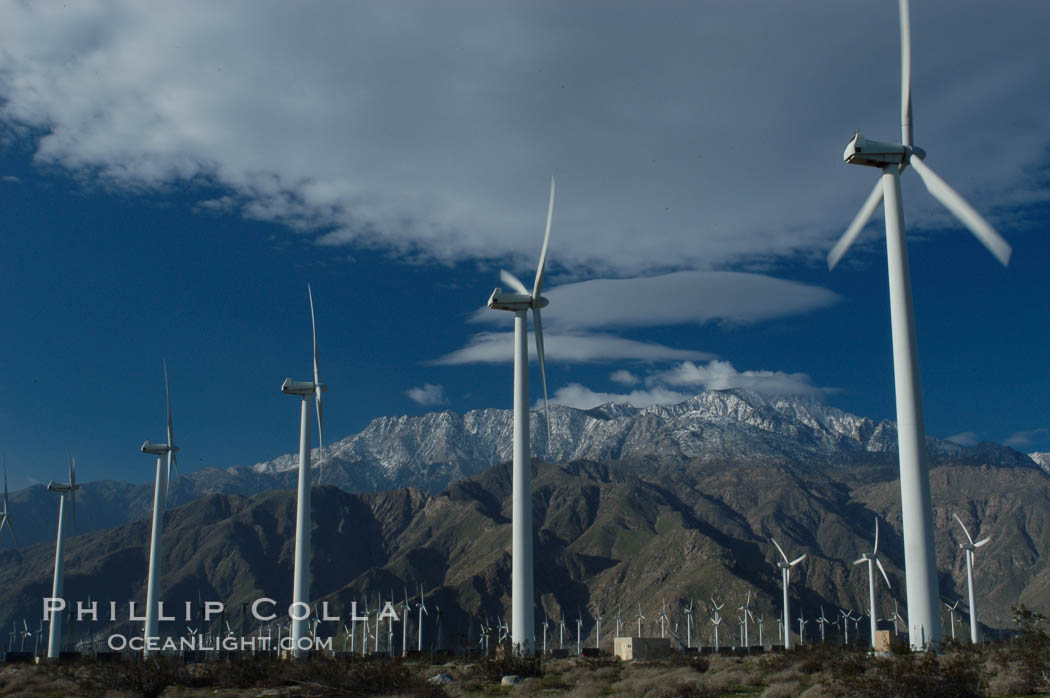 Wind turbines provide electricity to Palm Springs and the Coachella Valley. San Gorgonio pass, San Bernardino mountains. San Gorgonio Pass, California, USA, natural history stock photograph, photo id 06906