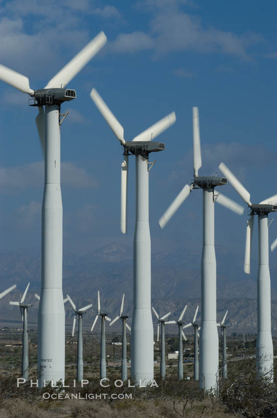 Wind turbines provide electricity to Palm Springs and the Coachella Valley. San Gorgonio pass, San Bernardino mountains. San Gorgonio Pass, California, USA, natural history stock photograph, photo id 06874