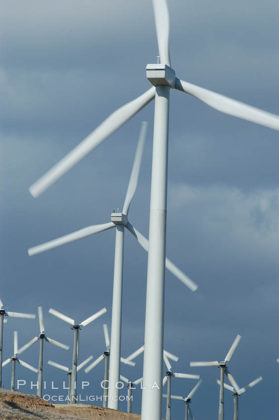 Wind turbines provide electricity to Palm Springs and the Coachella Valley. San Gorgonio pass, San Bernardino mountains. San Gorgonio Pass, California, USA, natural history stock photograph, photo id 06879