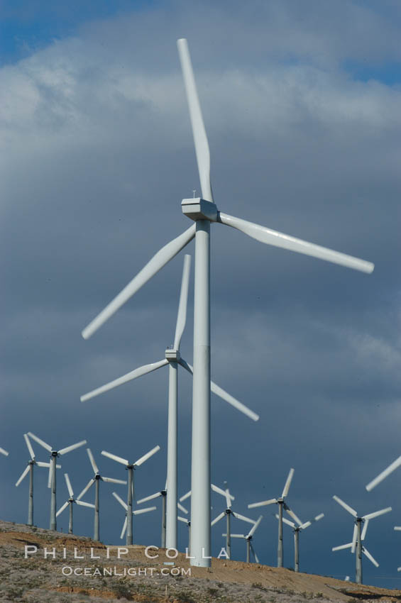 Wind turbines provide electricity to Palm Springs and the Coachella Valley. San Gorgonio pass, San Bernardino mountains. San Gorgonio Pass, California, USA, natural history stock photograph, photo id 06877